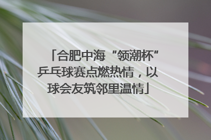 合肥中海“领潮杯”乒乓球赛点燃热情，以球会友筑邻里温情