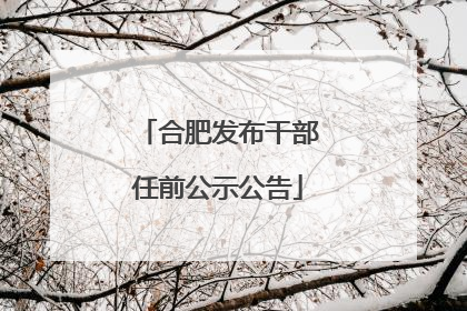 合肥发布干部任前公示公告