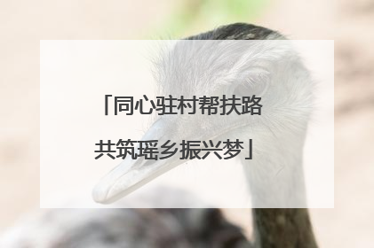 同心驻村帮扶路 共筑瑶乡振兴梦