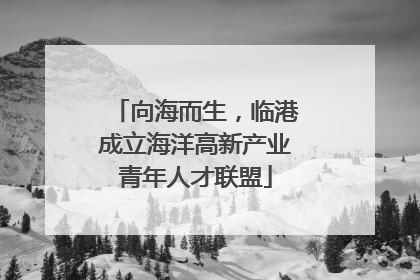 向海而生，临港成立海洋高新产业青年人才联盟