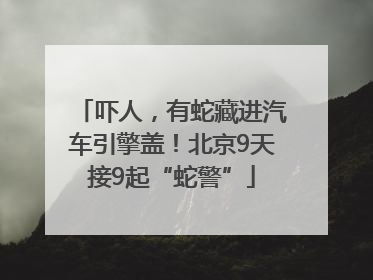 吓人，有蛇藏进汽车引擎盖！北京9天接9起“蛇警”