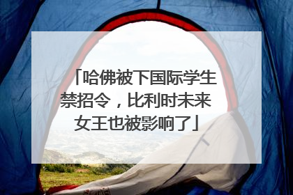 哈佛被下国际学生禁招令，比利时未来女王也被影响了