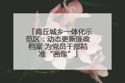 商丘城乡一体化示范区：动态更新廉政档案 为党员干部精准“画像”