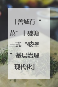 善城有“范”丨魏塘三式“破壁”基层治理现代化