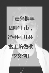 嘉兴槜李即将上市，净相村开共富工坊做槜李文创