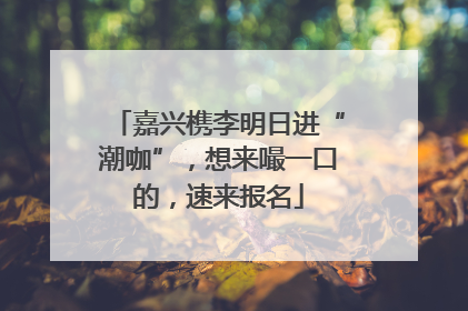嘉兴槜李明日进“潮咖”，想来嘬一口的，速来报名