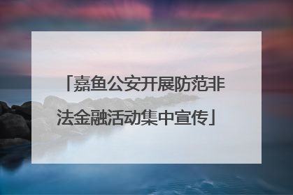 嘉鱼公安开展防范非法金融活动集中宣传