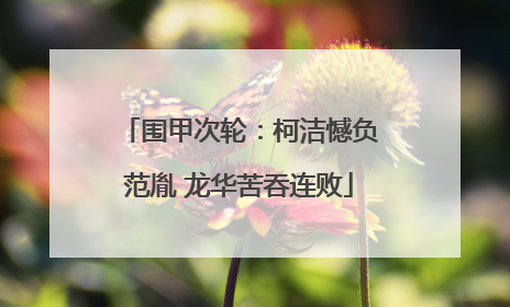 围甲次轮：柯洁憾负范胤 龙华苦吞连败