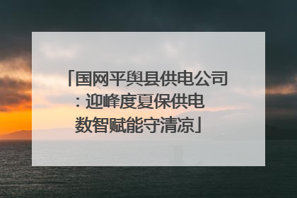 国网平舆县供电公司：迎峰度夏保供电  数智赋能守清凉
