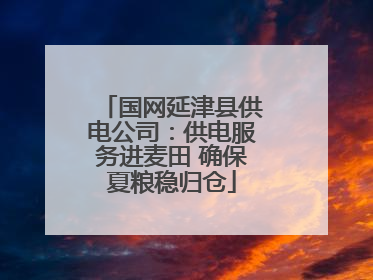 国网延津县供电公司：供电服务进麦田 确保夏粮稳归仓