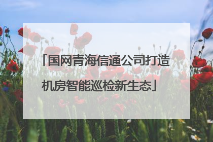 国网青海信通公司打造机房智能巡检新生态