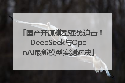 国产开源模型强势追击！DeepSeek与OpenAI最新模型实测对决
