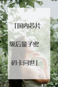 国内芯片级后量子密码卡问世