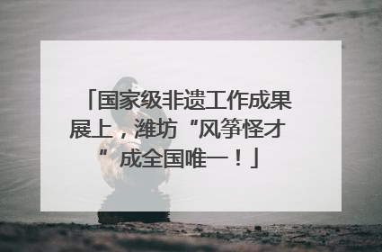 国家级非遗工作成果展上，潍坊“风筝怪才”成全国唯一！