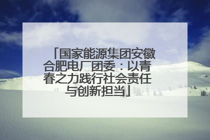 国家能源集团安徽合肥电厂团委：以青春之力践行社会责任与创新担当