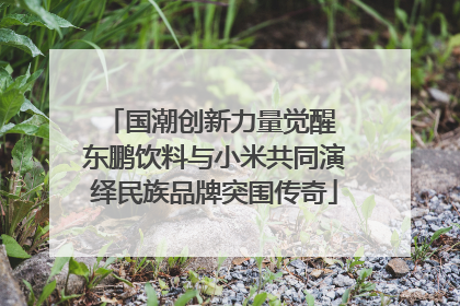 国潮创新力量觉醒 东鹏饮料与小米共同演绎民族品牌突围传奇