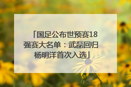 国足公布世预赛18强赛大名单：武磊回归 杨明洋首次入选