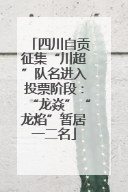 四川自贡征集“川超”队名进入投票阶段：“龙焱”“龙焰”暂居一二名