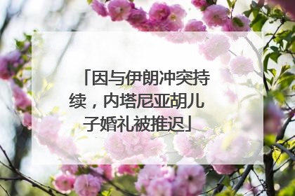 因与伊朗冲突持续，内塔尼亚胡儿子婚礼被推迟