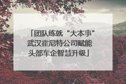 团队练就“大本事” 武汉霍尼特公司赋能头部车企智慧升级