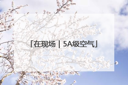 在现场｜5A级空气