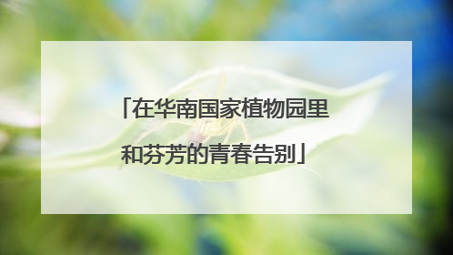 在华南国家植物园里和芬芳的青春告别