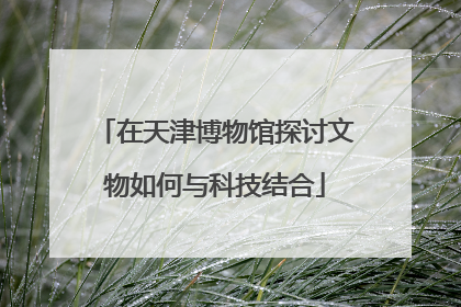 在天津博物馆探讨文物如何与科技结合