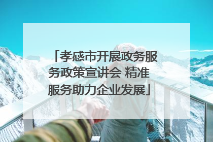 孝感市开展政务服务政策宣讲会 精准服务助力企业发展