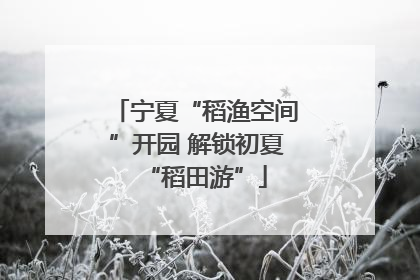 宁夏“稻渔空间”开园 解锁初夏“稻田游”