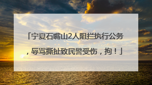 宁夏石嘴山2人阻拦执行公务，辱骂撕扯致民警受伤，拘！