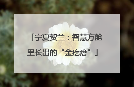 宁夏贺兰：智慧方舱里长出的“金疙瘩”
