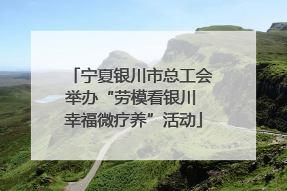 宁夏银川市总工会举办“劳模看银川 幸福微疗养”活动