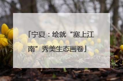 宁夏：绘就“塞上江南”秀美生态画卷