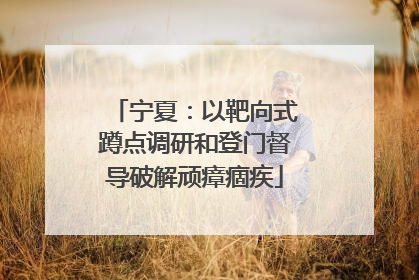 宁夏：以靶向式蹲点调研和登门督导破解顽瘴痼疾