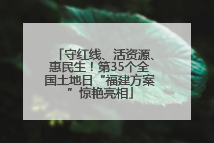 守红线、活资源、惠民生！第35个全国土地日“福建方案”惊艳亮相