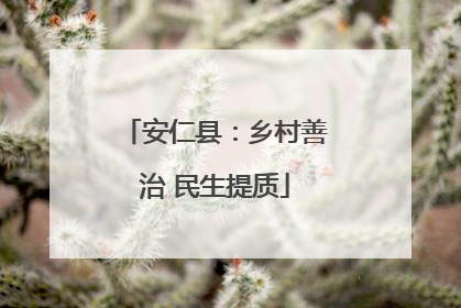 安仁县：乡村善治 民生提质