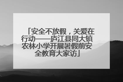 安全不放假，关爱在行动——庐江县同大镇农林小学开展暑假前安全教育大家访