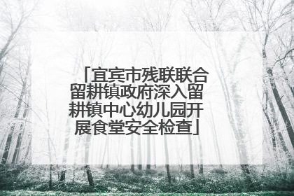 宜宾市残联联合留耕镇政府深入留耕镇中心幼儿园开展食堂安全检查