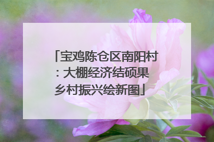 宝鸡陈仓区南阳村：大棚经济结硕果 乡村振兴绘新图