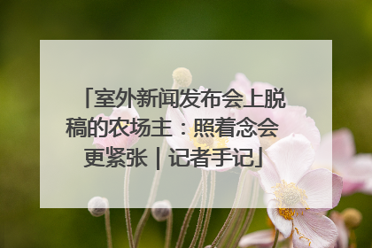 室外新闻发布会上脱稿的农场主：照着念会更紧张｜记者手记