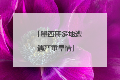 墨西哥多地遭遇严重旱情