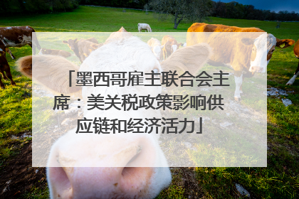 墨西哥雇主联合会主席：美关税政策影响供应链和经济活力