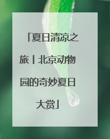 夏日清凉之旅丨北京动物园的奇妙夏日大赏