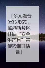 多元融合宣传形式，临港新片区开展“安全生产月”宣传咨询日活动