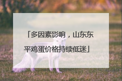 多因素影响，山东东平鸡蛋价格持续低迷