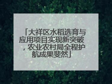 大祥区水稻选育与应用项目实现新突破，农业农村局全程护航成果斐然