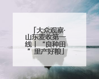 大众观察·山东麦收第一线丨“良种田”里产好粮