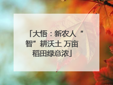 大悟：新农人“智”耕沃土 万亩稻田绿意浓