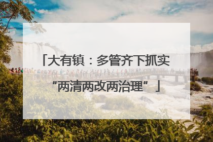 大有镇：多管齐下抓实“两清两改两治理”