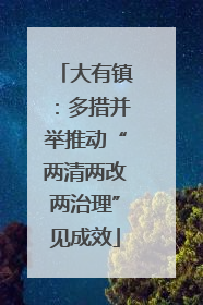 大有镇：多措并举推动“两清两改两治理”见成效